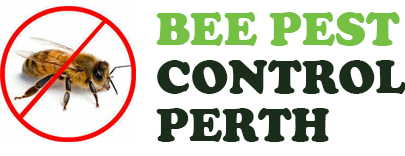 bee pest control  Perth 